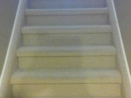 carpet cleaning stairs 2 after